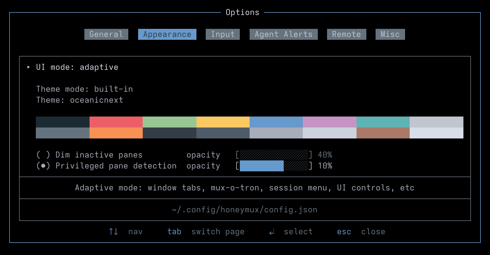 Options: Appearance tab
