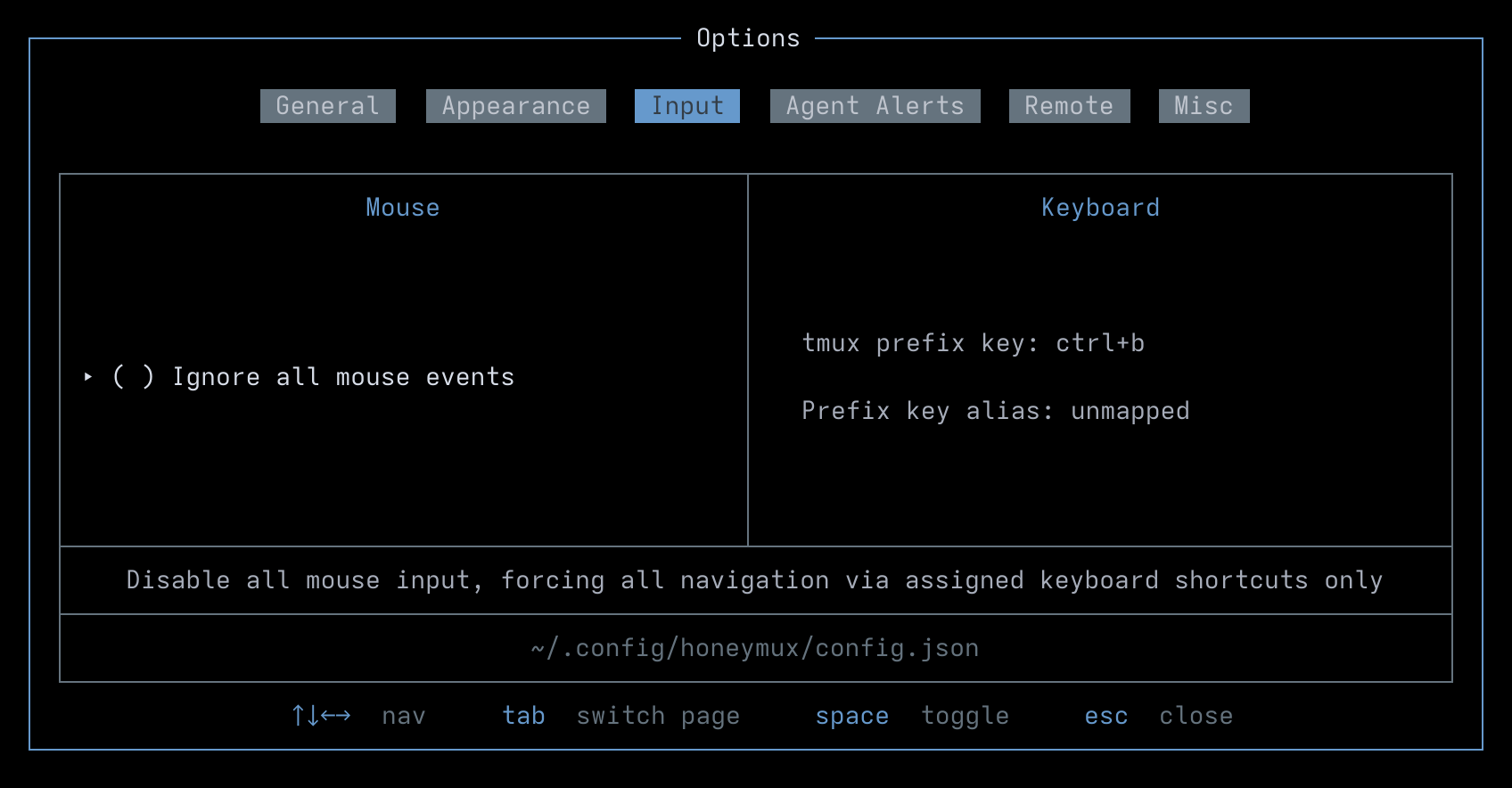 Options: Input tab