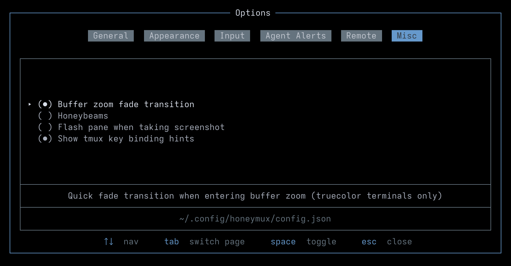 Options: Misc tab
